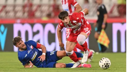 Dimitrije Šarić (Crvena zvezda)
